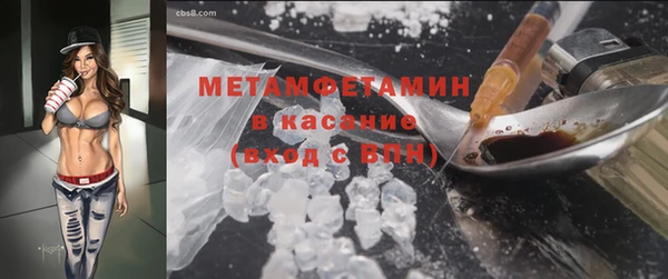 прущие грибы Нея
