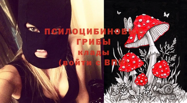 apvp Балабаново