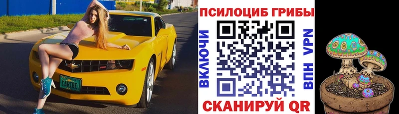 магазин продажи   Кохма  Псилоцибиновые грибы Cubensis 